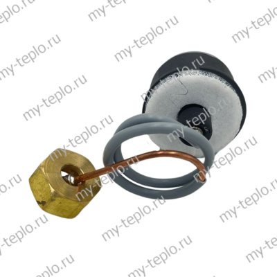 Манометр для котлов Baxi, аналог 7732049 (CPG28-B-1) Манометр для котлов Baxi, аналог 7732049 (CPG28-B-1)